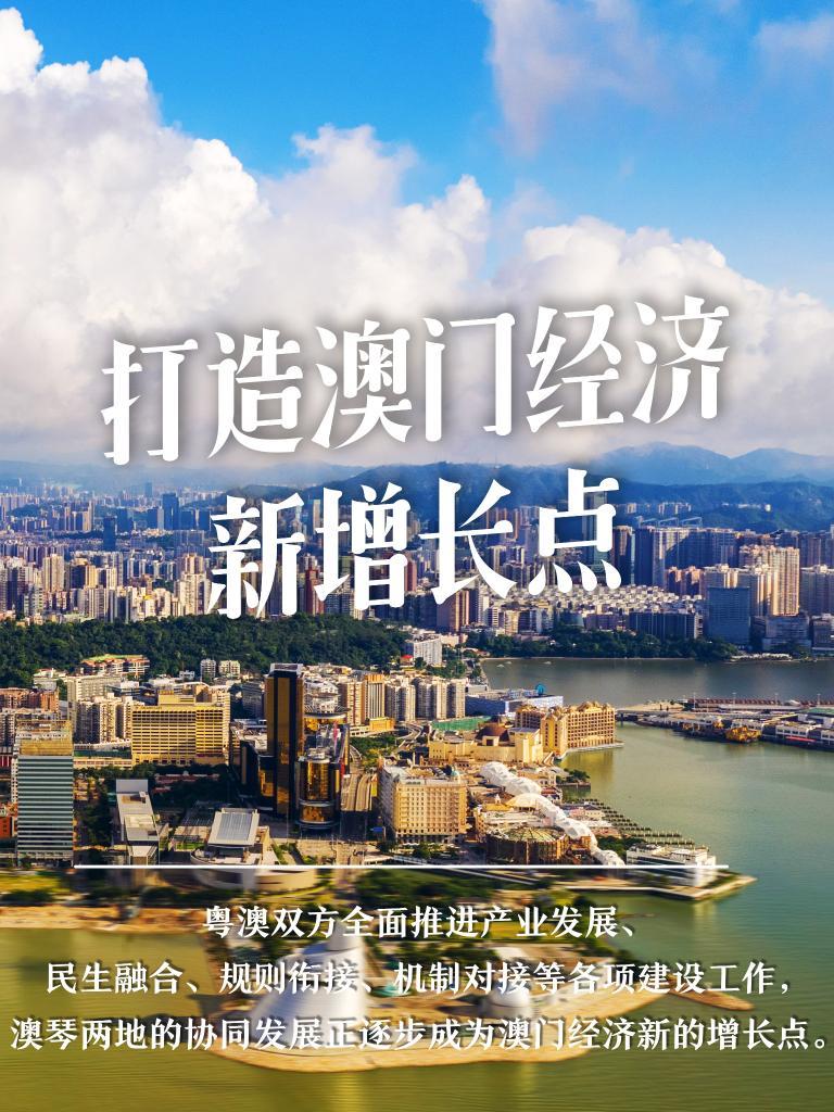 2025-2024年澳门和香港精准正版免费|精选解释解析落实