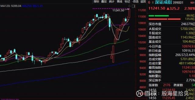 四不像玄机图2025,揭秘四不像玄机图，预测与解读未来的关键线索（2025展望）