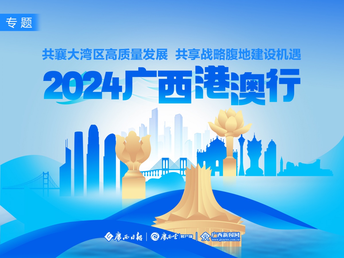 2025澳门正版精准资料大全,澳门正版精准资料大全，探索与解析（2025版）