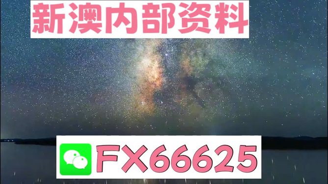 新澳天天开奖资料大全600,新澳天天开奖资料大全600，探索彩票世界的神秘之门