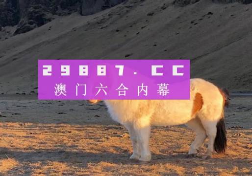 新澳门天天彩正版免费,新澳门天天彩正版免费，探索与体验