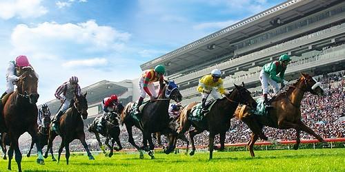 香港今晚开什么特马,香港今晚的马票结果预测与赛马文化深度解析