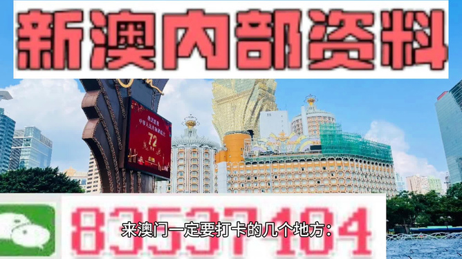 新澳门2025资料免费大全版,新澳门2025资料免费大全版，探索与预测