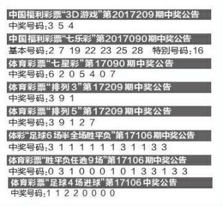 一码一码中奖免费公开资料,揭秘一码一码中奖，免费公开资料的深度探索