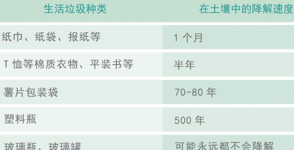 2025新奥历史开奖记录46期,揭秘新奥历史开奖记录，第46期的精彩瞬间与未来展望（截至2025年）