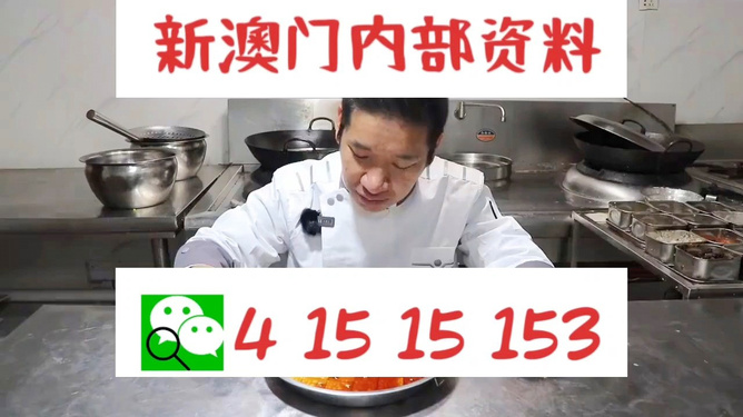 管家婆一码一肖资料大全,管家婆一码一肖资料大全，深度解析与实际应用