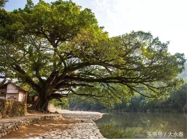 2025澳门三中三网站,探索澳门三中三网站，展望未来澳门的发展与活力
